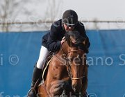Le Jeune Farouk TosTour 2013- S5 3275 : Arezzo Equestrian Centre, Farouk de la Pomme, Le Jeune Philippe, Toscana Tour 2013, foto di Stefano Secchi ©